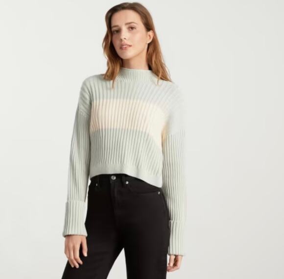 Everlane Sweaters - Everlane Organic Cotton Rollneck Ribbed Color-block Sweater Size Medium